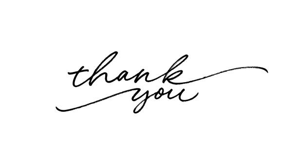 Thank you modern phrase handwritten vector calligraphy with swooshes. Black paint lettering isolated on white background. 